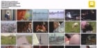 日本经典奸杀片有肉丝女警还有很多受害者